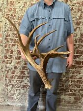 elk mount for sale  Magnolia