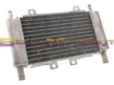 Mf29.509 radiatore racing usato  Trapani
