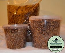 Dried mealworms premium for sale  NORWICH