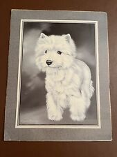 westie card for sale  LINCOLN