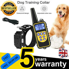 Dog pet training for sale  MANCHESTER