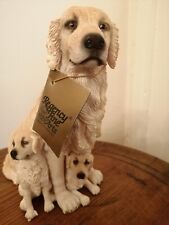 golden retriever pups for sale  MALVERN