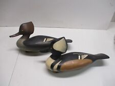 duck pair for sale  Saint Paul