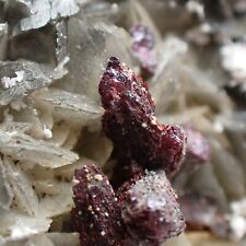 PROUSTITE *RED CRYSTALS ON CALCITE + PICROPHARMACOLITE ! Medenec, CZECH REPUBLIC for sale  Shipping to South Africa