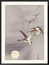 Estampe japonaise oiseaux d'occasion  Lamorlaye