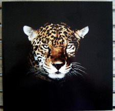 Prospekt jaguar 1992 gebraucht kaufen  Birkenfeld