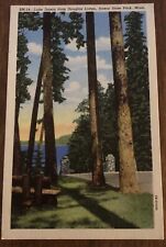 Linen postcard lake for sale  Shelbyville