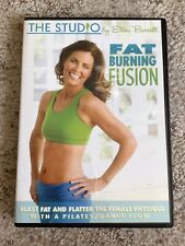 The Studio ELLEN BARRETT Fat Burning Fusion (DVD) Pilates Dance Flow comprar usado  Enviando para Brazil