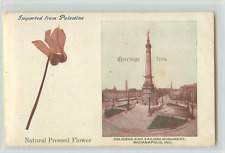 Postcard pressed flower for sale  Redding