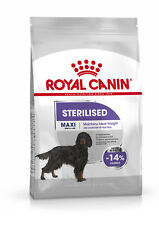 Maxi sterilised care for sale  ENNISKILLEN