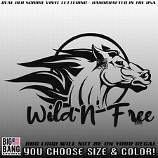 Wild N' Free Horse Vinyl Sticker Decal RV Travel Trailer Class A B C Fifth Wheel segunda mano  Embacar hacia Mexico
