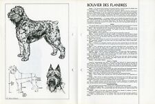 Bouvier flandres 1978 d'occasion  Expédié en Belgium