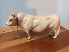 Beswick charolais bull for sale  BISHOP AUCKLAND