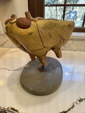 Vintage Rare Somso Anatomical Model Cow Udders Cattle Medical Veterinary Anatomy for sale  Shipping to South Africa
