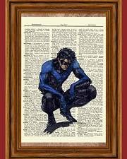 Nightwing dictionary art for sale  Hernando