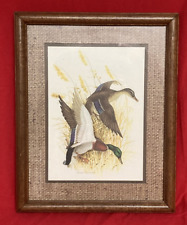 Vintage framed duck for sale  Mason