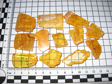 Pliocene amber africa. for sale  WAKEFIELD