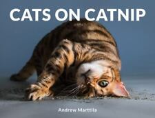 Cats catnip for sale  USA