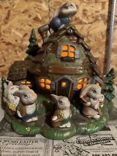 Rabbit house for sale  Chamberlain