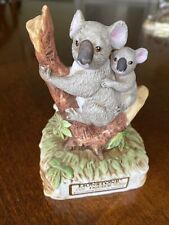 Lionstone koala joey for sale  Clifton Park