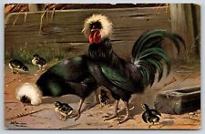 White Crested Black Polish Chickens Chicks Farmyard Scene Art Postcard Unposted, used for sale  Shipping to South Africa
