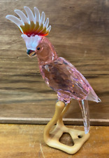 cockatoo birds for sale  UK