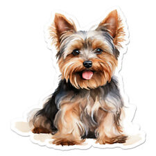 Yorkie yorkshire terrier for sale  USA