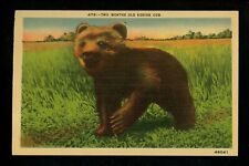 Alaska postcard kodiak for sale  Trenton