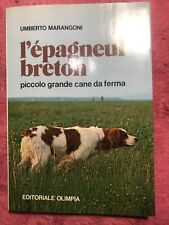 Caccia epagneul breton usato  Italia