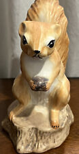 Red squirrel ceramic for sale  Canton