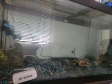 70gallon fish tank for sale  Appleton