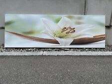 Leinwand bild xxl gebraucht kaufen  Sigmaringen