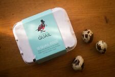 Fresh quail eggs for sale  SAXMUNDHAM