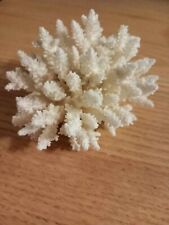 Bellissimo corallo bianco usato  Vigevano