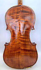 Incredibile violino master usato  Venezia