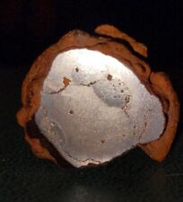 17.5g iron meteorite for sale  Mc Gregor