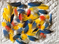 Small feathers natural colors for fishing, creation, fashion, scrapbooking, jewelry, for sale  Shipping to South Africa