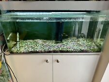 Large 100 fish for sale  LYTHAM ST. ANNES