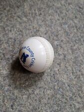 junior cricket balls for sale  BIRMINGHAM