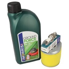 Kit de serviço compatível com HONDA GX140, GX160, GX200 filtro de ar, vela de ignição, óleo comprar usado  Enviando para Brazil
