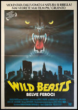 Wild beasts belve usato  Brescia