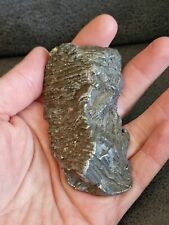 Meteorit campo del gebraucht kaufen  Schkopau