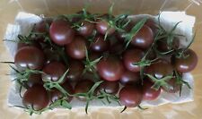 Black cherry bio gebraucht kaufen  Berlin