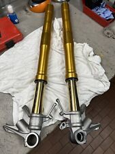 Forcelle ohlins ducati usato  Cesano Maderno