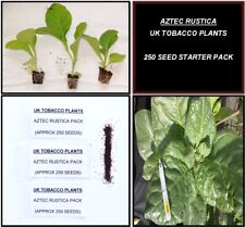 Aztec rustica seed for sale  UK