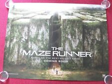 Maze runner quad for sale  CHICHESTER