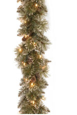 Glittery bristle pine for sale  Waverly