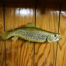 Inch brown trout for sale  Nanticoke