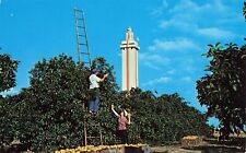Citrus observation tower for sale  Chicago