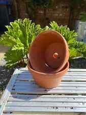 terracotta plant pots for sale  STOKE-ON-TRENT